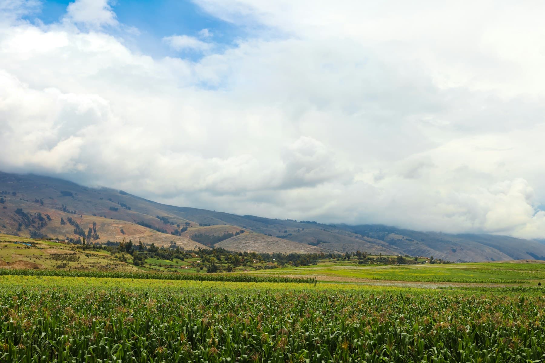 Campos agrícolas de Chupaca bajo las montañas